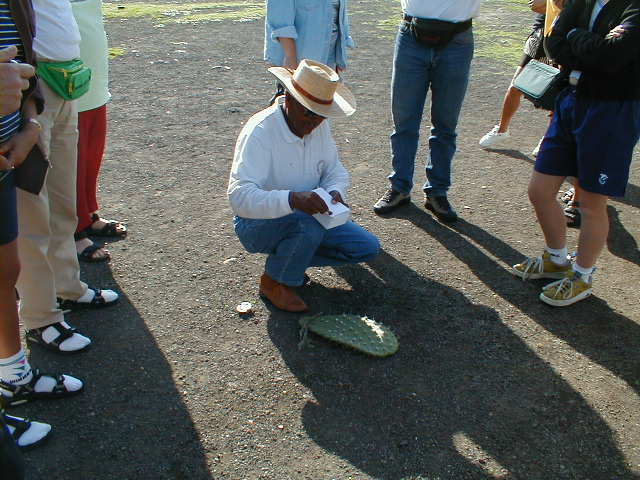 20-6-00 Teotithuac�n