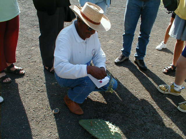 20-6-00 Teotithuac�n