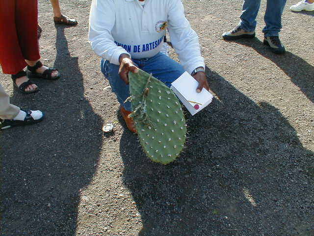 20-6-00 Teotithuac�n