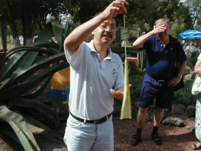 20-6-00 Foredrag om Algaven