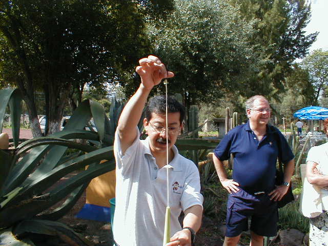 20-6-00 Foredrag om Algaven