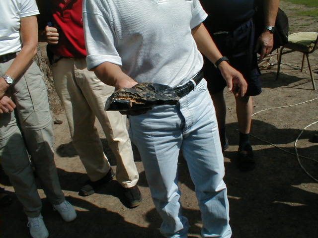 20-6-00 Foredrag om Algaven