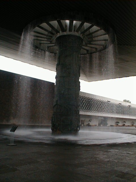 21-6-00 Det Anropologiske museum