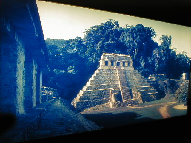 21-6-00 Det Anropologiske museum