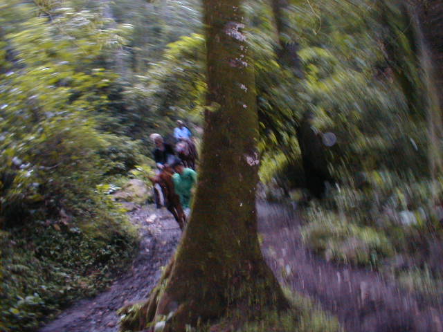 24-6-00 P� vej ned til Vandfald