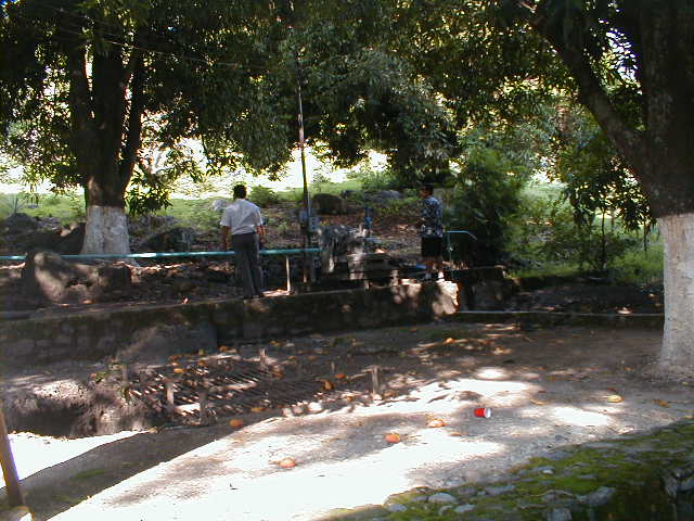 26-6-00 Tequila set gennem et busvindue